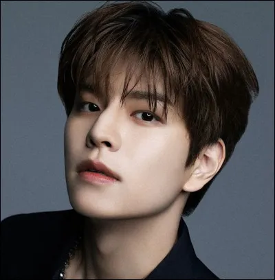 Seungmin est-il vocaliste ou rappeur ?