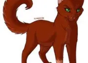 Quiz Famille de Poil d'Ecureuil