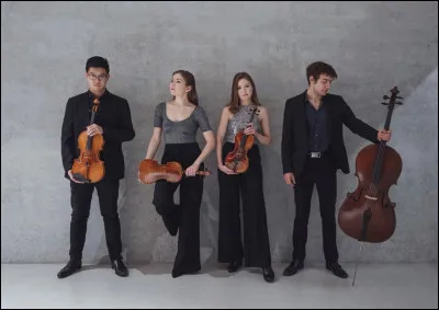 Vas-tu dans un conservatoire ?