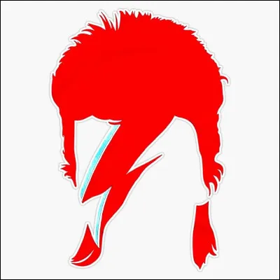 Quel chanteur aux yeux vairons est l'auteur-compositeur et interpr&egrave;te du titre ''Valentine's Day'' ?