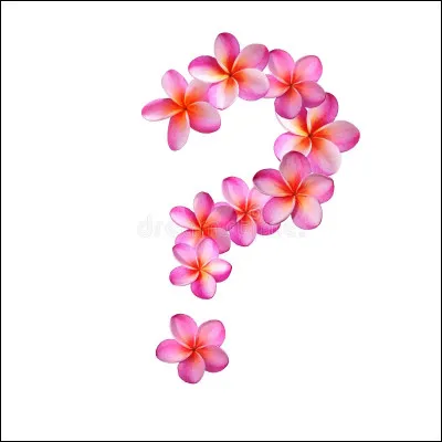 Quelles fleurs offre-t-on traditionnellement &agrave; la Saint-Valentin ?