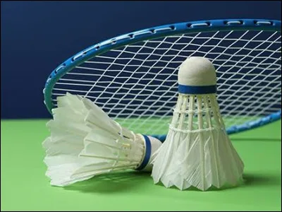 Comment nomme-t-on la partie en plastique du volant au badminton ?