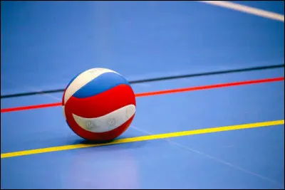 Combien de joueurs composent une &eacute;quipe de volleyball ?