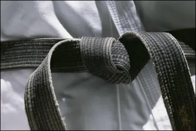 Combien de dan y a-t-il au karat&eacute; ?