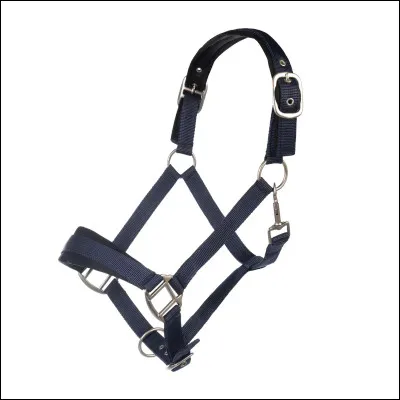 Qu'est-ce que c'est ?