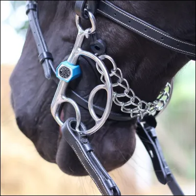 Cette chaine en dessous de sa bouche, qu'est-ce que c'est ?