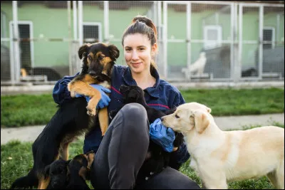 As-tu (au moins) un animal de compagnie ?
