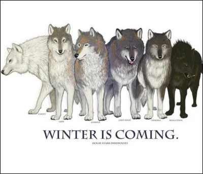 As-tu un bon esprit d�&eacute;quipe ?