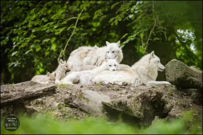 Aimes-tu &ecirc;tre en contact avec les autres ?