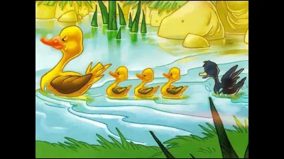 Dans le conte de Hans Christian Andersen, que se r&eacute;v&egrave;le finalement &ecirc;tre le Vilain Petit Canard ?