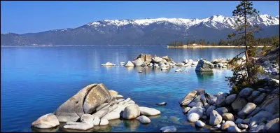 Quel animal peut survivre sans eau pendant plusieurs mois gr&acirc;ce &agrave; ses r&eacute;serves de graisse ?