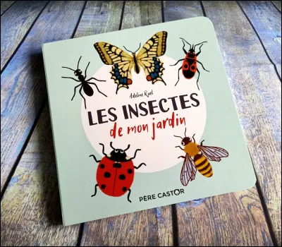 Quel animal nocturne poss&egrave;de de grandes ailes et se nourrit d'insectes ?