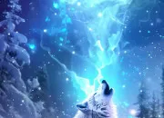 Test Quelle image de loup te correspond le mieux ?