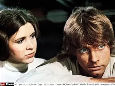 Luke et Leia sont� (2 r&eacute;ponses)