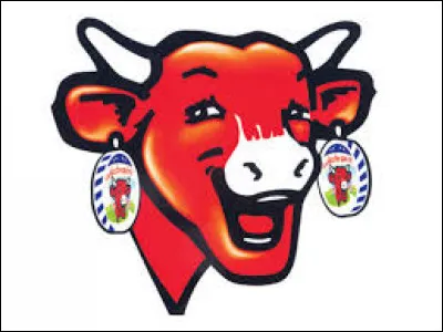 &Agrave; quoi correspond ce logo ?