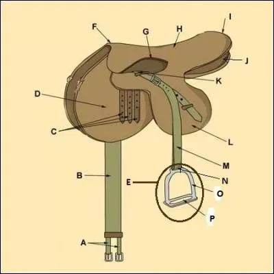 &Agrave; quoi correspond la lettre "B"