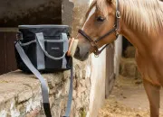 Quiz Les brosses d'�quitation