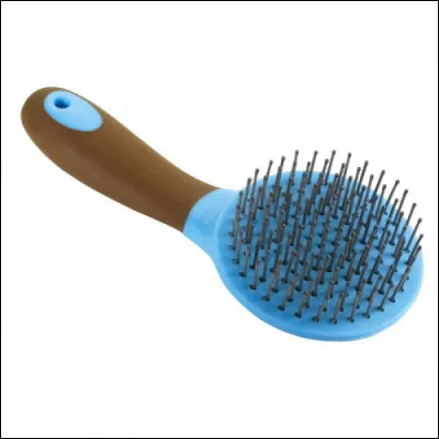 Quel est le nom de cette brosse ?