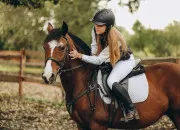 Quiz L'�quipement du cheval