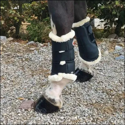 Et qu'y a-t-il sur les pattes de ce cheval ?