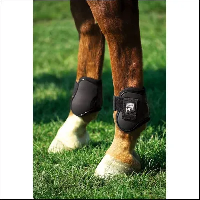 Et ici, qu'est-ce que c'est ?