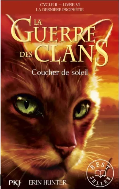 Qui est ce f&eacute;lin ?