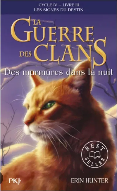 Qui est ce pauvre chat roux ?