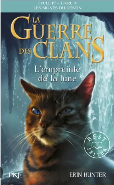 Quel est le nom de ce chat ?
