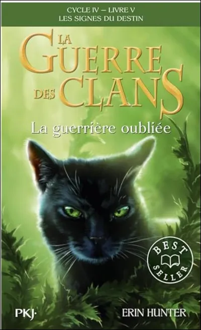 Qui est cette chatte ?