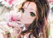 Test Quelle image du Japon auras-tu ?