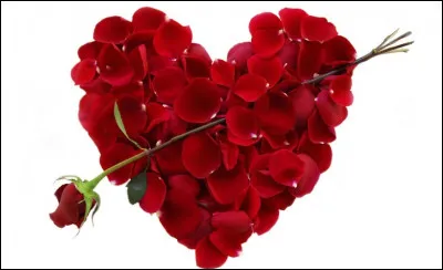 Ce c�ur est compos&eacute; de p&eacute;tales de...