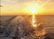 Test Ta vie dans la guerre des clans