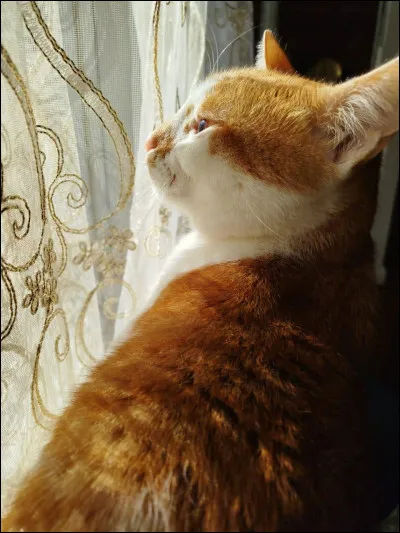 Aujourd’hui, c’est ton bapt&ecirc;me de guerrier/guerri&egrave;re. La chef te propose de choisir ton nom lequel choisis-tu ?