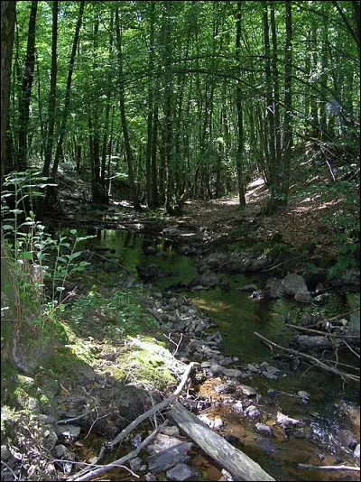 Alimente les ragots.