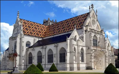 Coque &agrave; kola.