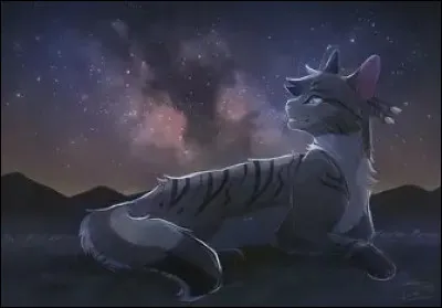 Et son deuxi&egrave;me ?