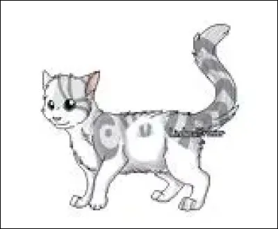 Comment s'appellent ses chatons ?