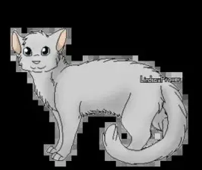 Comment meurt Soie de Gel ?