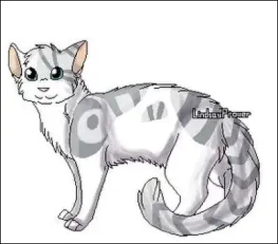 Quel est son nom de chaton ?