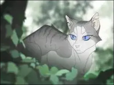 Quel est son d&eacute;faut ?