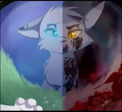 Que fait-elle &agrave; la For&ecirc;t sombre ? (&agrave; la fin)