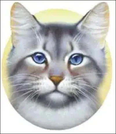 Quel est son nom de guerri&egrave;re ?