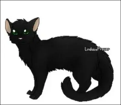 Quel est son nom de chaton ?