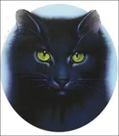 Qui est son premier mentor ?