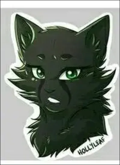 Qui a-t-elle assassin&eacute; ?