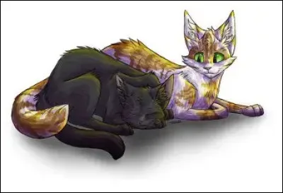 Qui est son compagnon ?