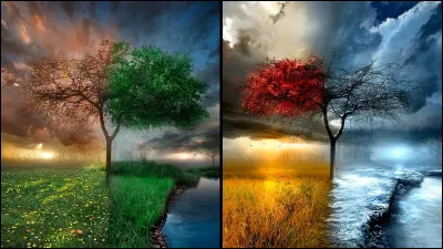 Tu pr&eacute;f&egrave;res que je te propose un parfum dont la saison reine est...