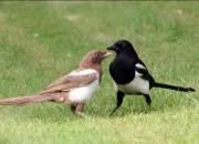 Test Qui es-tu dans ta classe ?