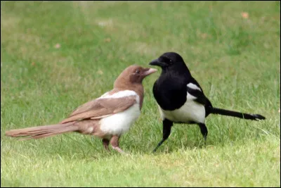 Est-ce que tu discutes en classe ?