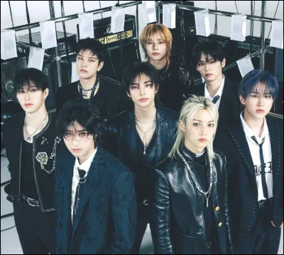 Nomme le fandom de Stray Kids :